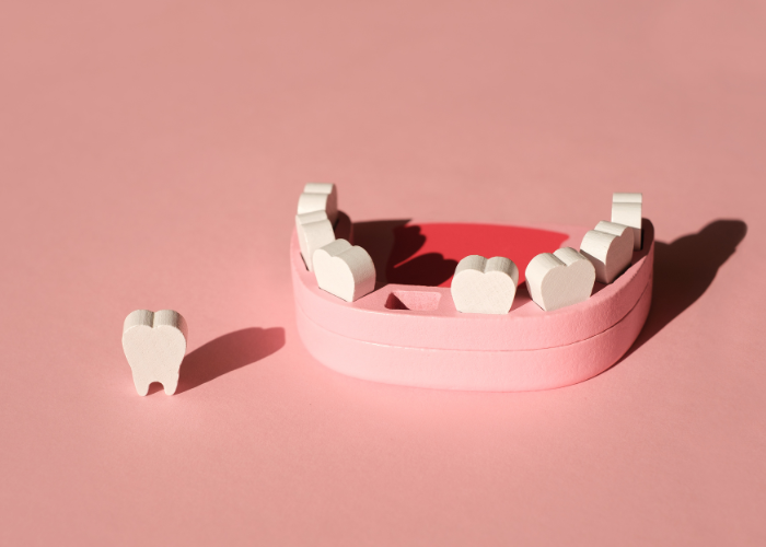 Dental model of teeth on a pink background.